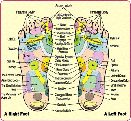 A reflexology foot chart that helps explains how detox foot pads actually work